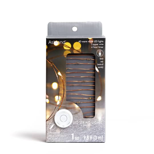 40ct. Warm White Copper Wire LED String Lights by Ashland®